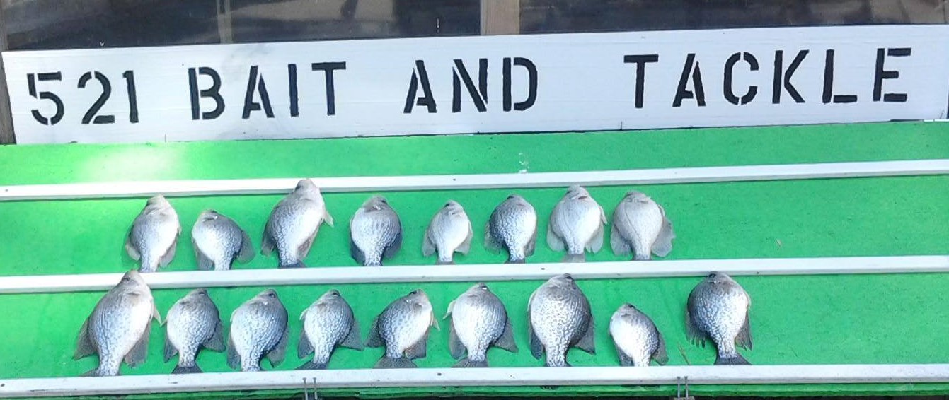 Charleston Bait & Tackle