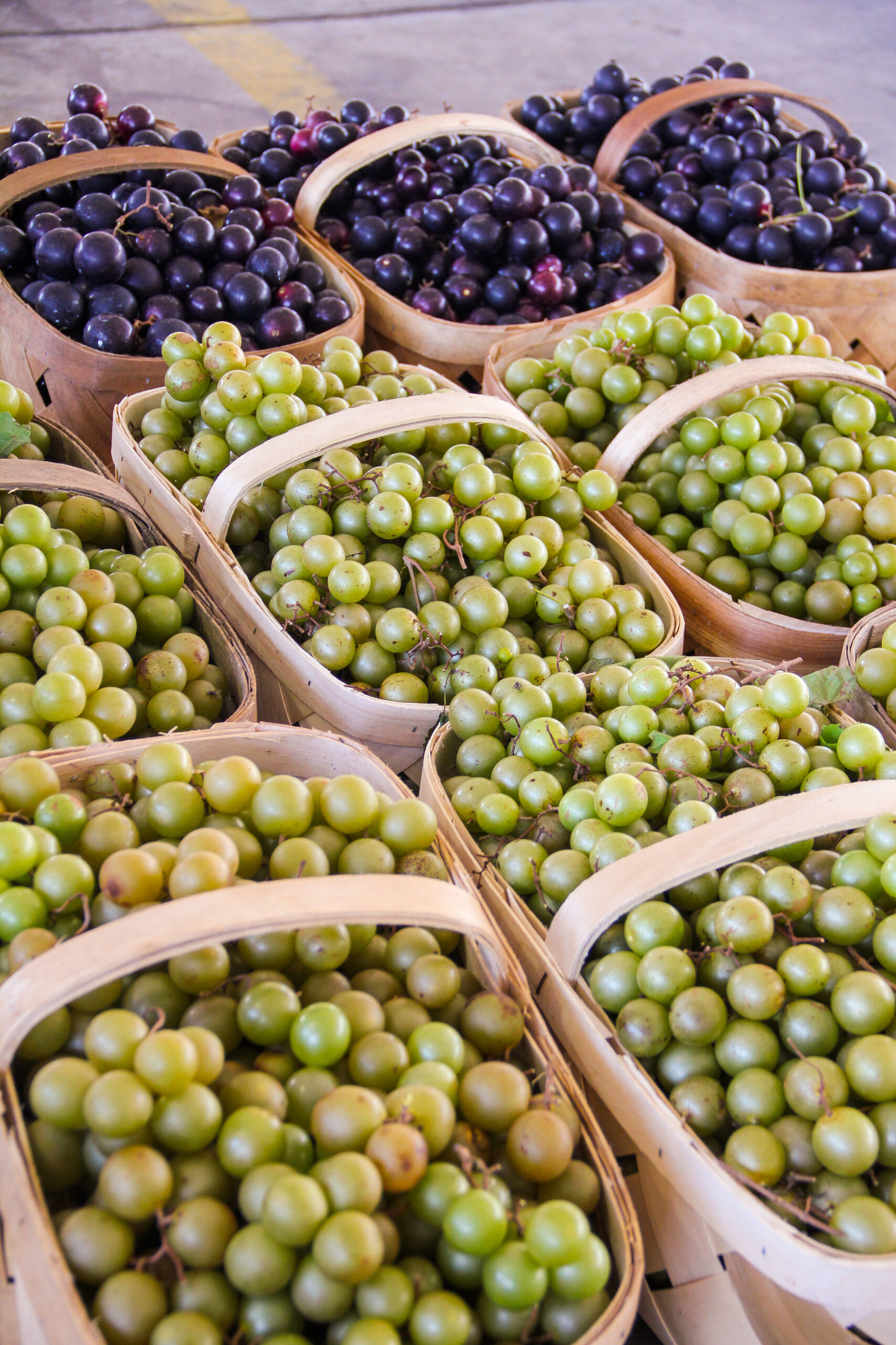 buying-locally-grown-produce-has-never-been-easier