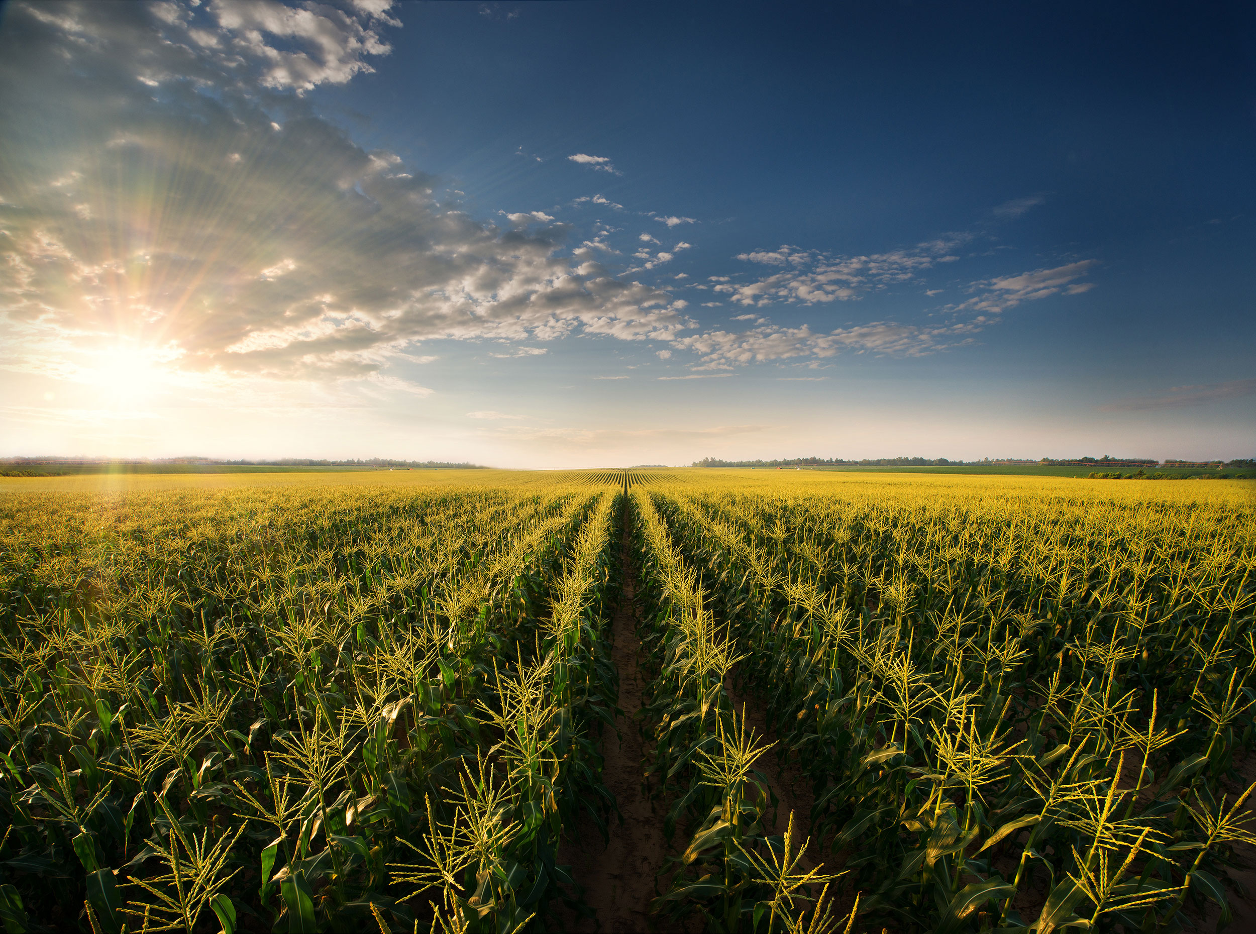 guide-to-haccp-plans-south-carolina-department-of-agriculture