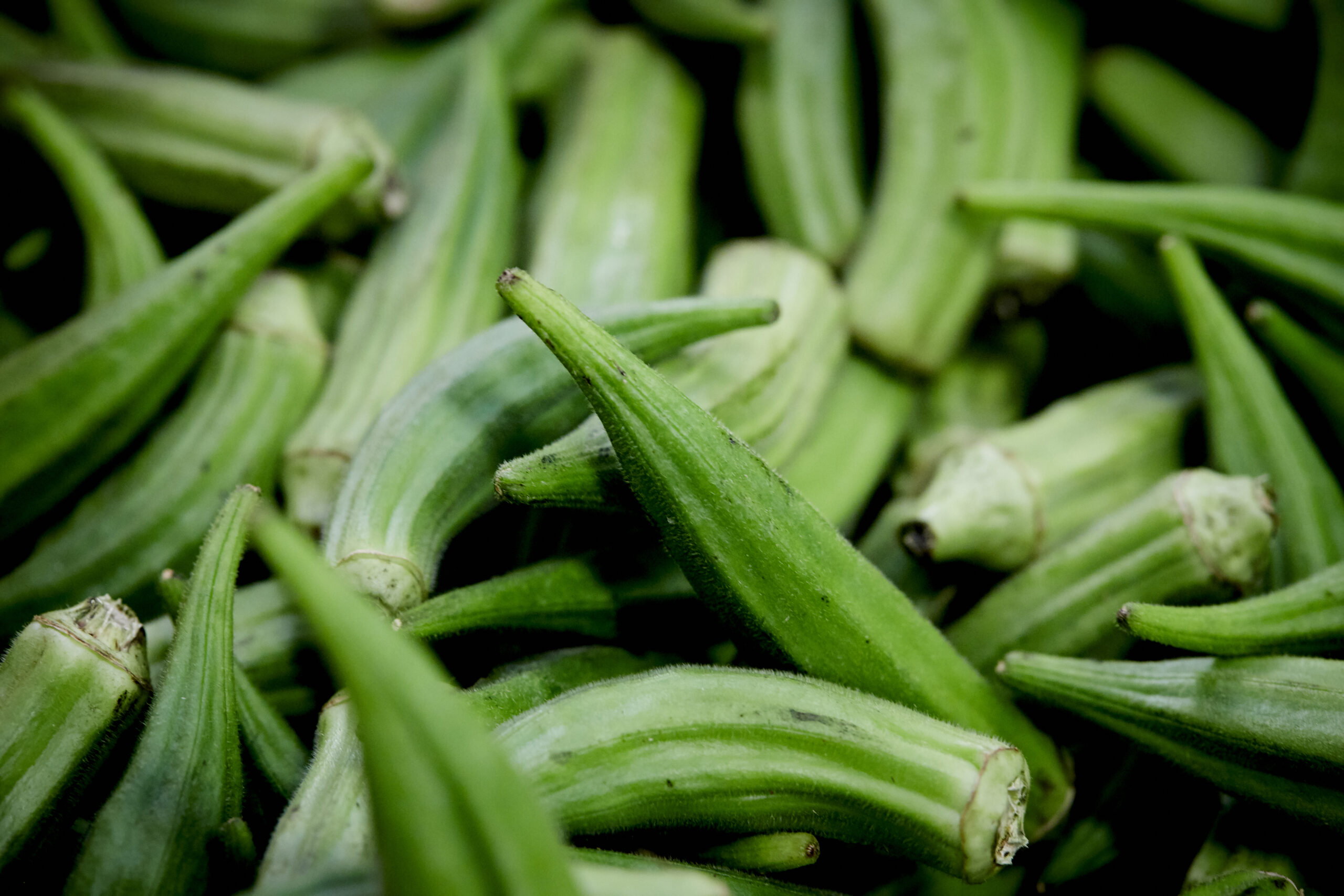 What's in Season