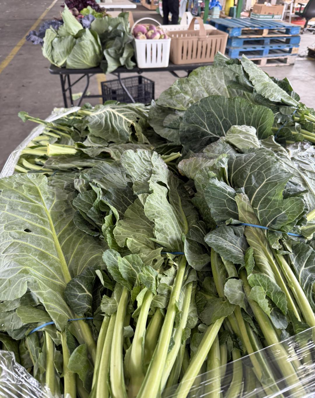 What's in Season